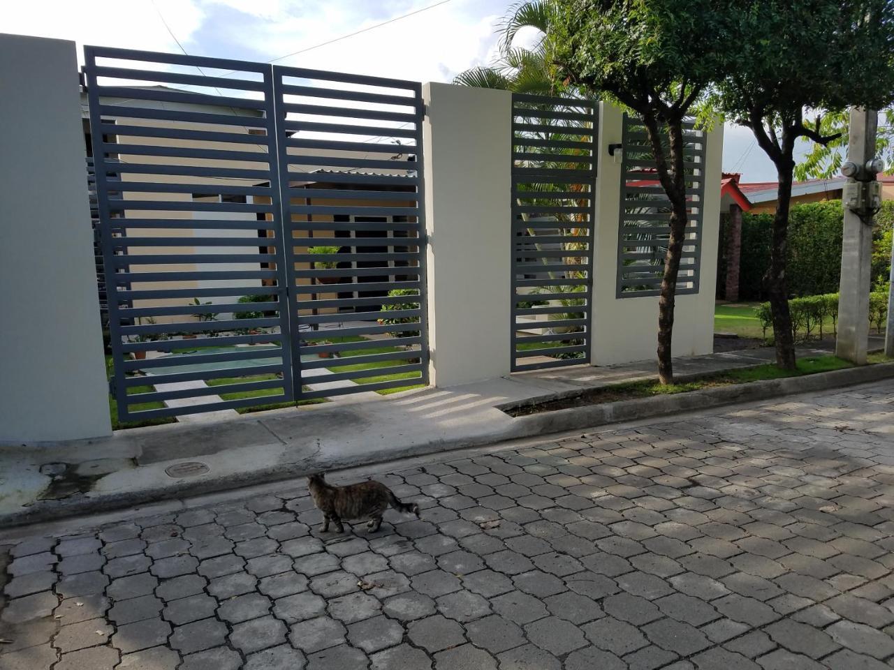 Runway Apt 108 Daire Managua Dış mekan fotoğraf